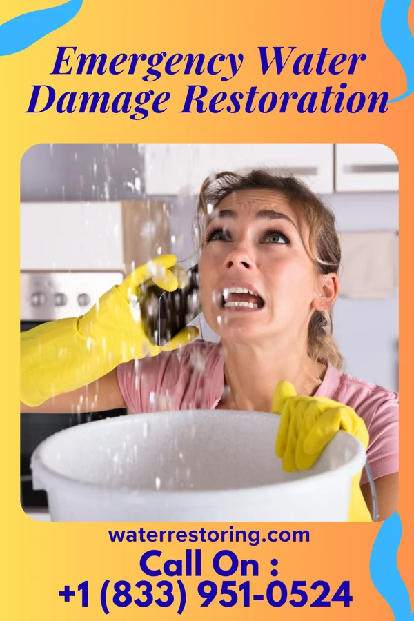 Emergency Water Damage Restoration in Cortez, CO