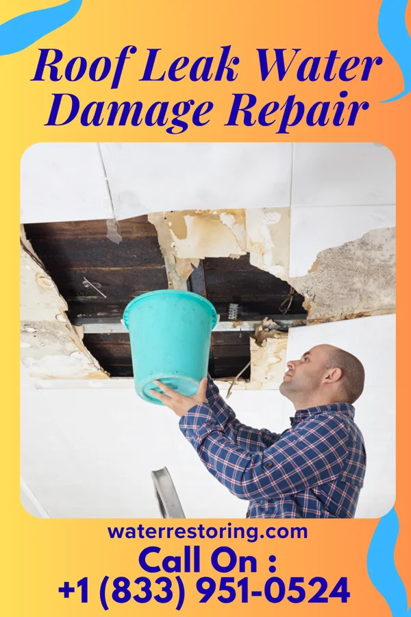 Roof Leak Water Damage Repair in Cortez, CO